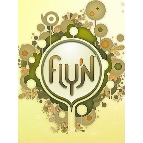Fly’N Steam Key GLOBAL