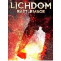 Lichdom: Battlemage Steam Key GLOBAL