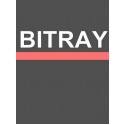 BitRay Steam Key GLOBAL