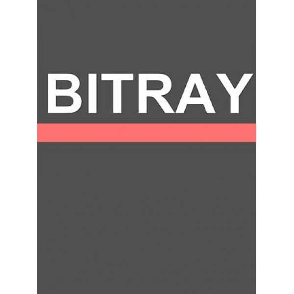 BitRay Steam Key GLOBAL