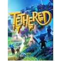 Tethered VR Steam Gift GLOBAL