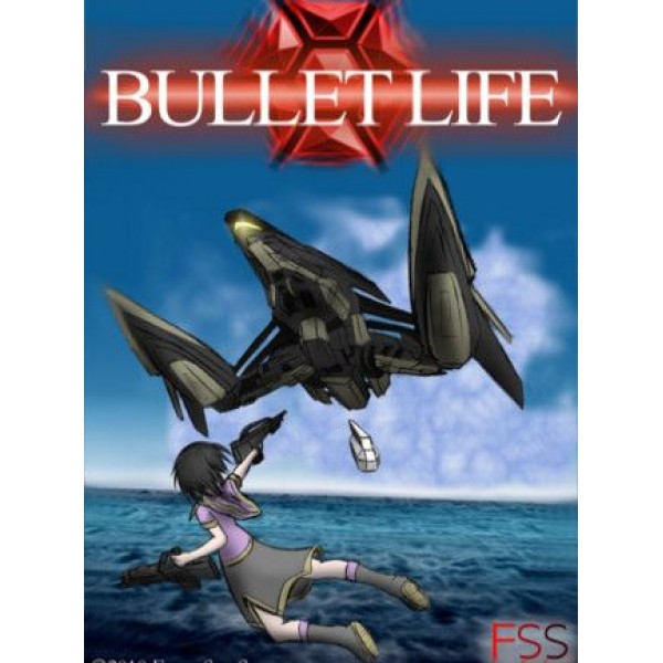 Bullet Life 2010 Steam Key GLOBAL