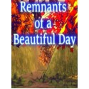Remnants of a Beautiful Day Steam Key GLOBAL