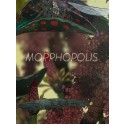 Morphopolis Steam Key GLOBAL