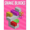 Snake Blocks Steam Key GLOBAL