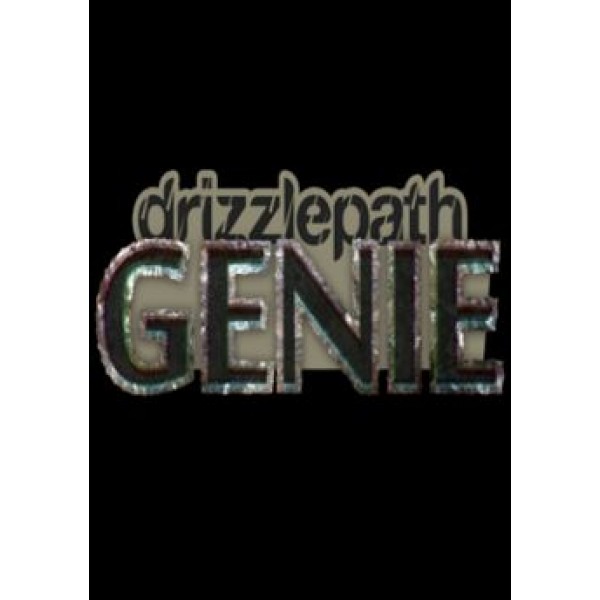 Drizzlepath: Genie Steam Key GLOBAL