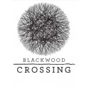 Blackwood Crossing Steam Key GLOBAL