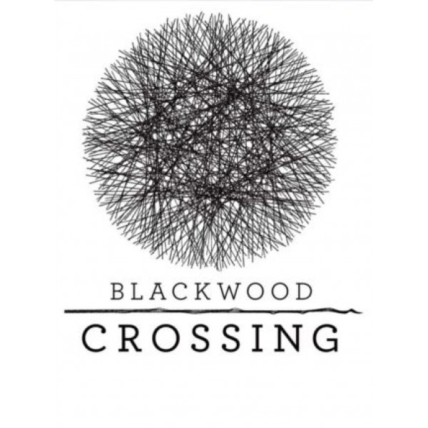 Blackwood Crossing Steam Key GLOBAL