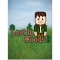 Lost In Woods 2 Steam Key GLOBAL