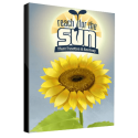 Reach for the Sun Steam Key GLOBAL