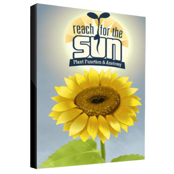 Reach for the Sun Steam Key GLOBAL