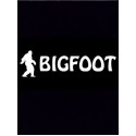 Bigfoot Steam Gift GLOBAL