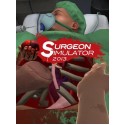 Surgeon Simulator 2013 Steam Key GLOBAL