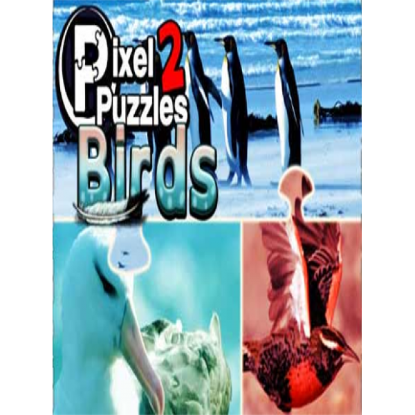 Pixel Puzzles 2: Birds Steam Key GLOBAL