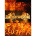 Ballistic Protection Steam Key GLOBAL