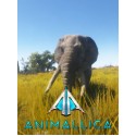 Animallica Steam PC Key GLOBAL