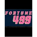 Fortune-499 Steam Key GLOBAL