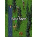 Battles of Norghan Steam Key GLOBAL