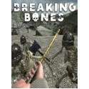 Breaking Bones Steam Gift GLOBAL