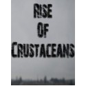 Rise of Crustaceans Steam Key GLOBAL