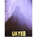UAYEB Steam Key GLOBAL