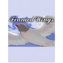 Framed Wings Steam Key GLOBAL