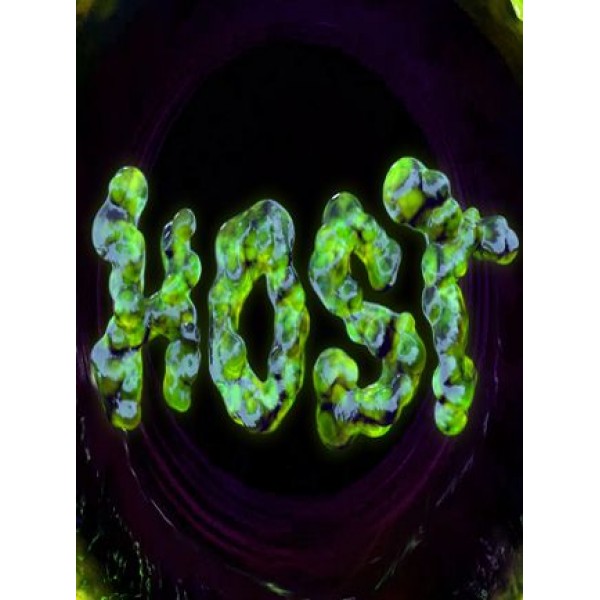 HOST Steam Key GLOBAL