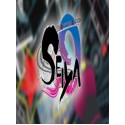 VR RHYTHM ACTION SEIYA Steam Key GLOBAL