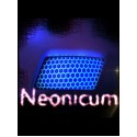 Neonicum Steam Key GLOBAL