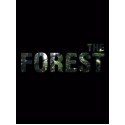 Buy The Forest Steam Gift Game