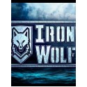 IronWolf VR Steam Key GLOBAL