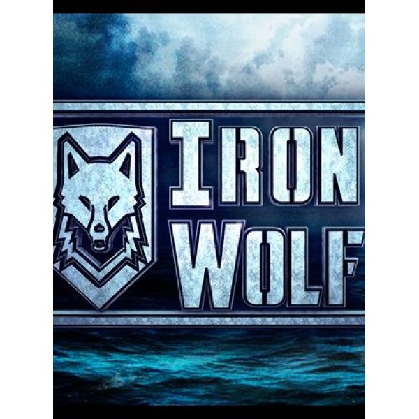 IronWolf VR Steam Key GLOBAL