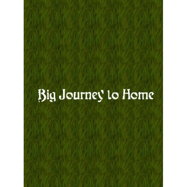 Big Journey to Home Steam Key GLOBAL