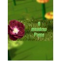 A meadow Piece Steam Key GLOBAL
