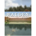 Walden, a game Steam Key GLOBAL