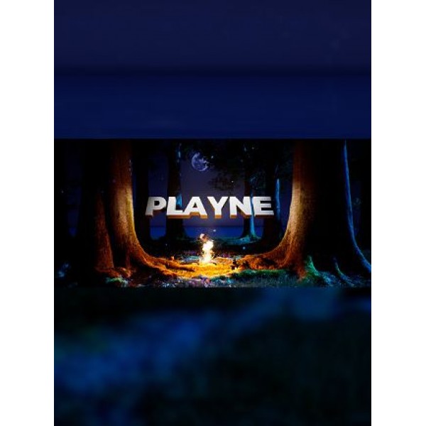 PLAYNE : The Meditation Game Steam Key GLOBAL