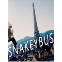 Snakeybus Steam Gift GLOBAL