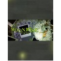 Moonrise Fall Steam Key GLOBAL