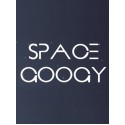 Space Googy Steam Key GLOBAL