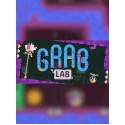 Grab Lab - Steam - Key (GLOBAL)