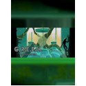 GREEN VIDEO GAME - Steam - Key GLOBAL