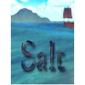 Salt Steam Key GLOBAL