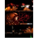 Orange Moon (PC) - Steam Key - GLOBAL