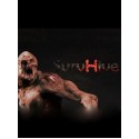 SurvHive (PC) - Steam Key - GLOBAL