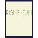 PIGMENTUM (PC) - Steam Key - GLOBAL